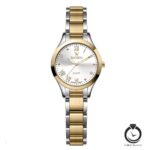 ساعت زنانه واتسون طلایی نقره ای سیلور WATSON-1282L-351